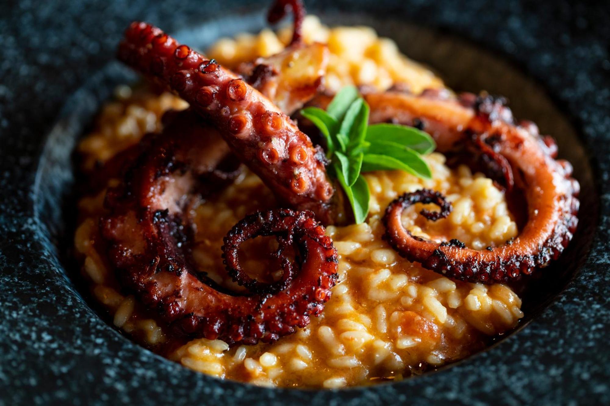 B Hotel Brasília Buitenkant foto Risotto alla marinara